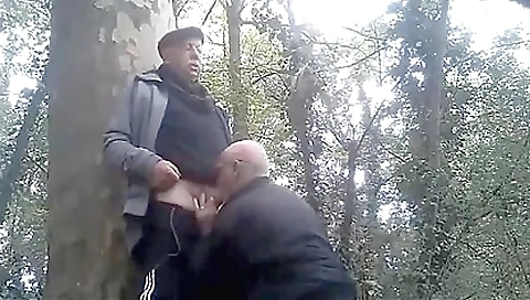 Tra savesing and anal fuck with threesome