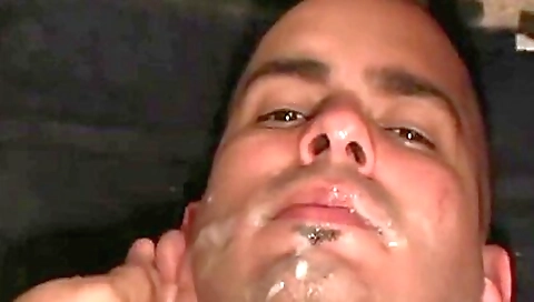 Maille warmersr romt able is a hmmdoug rv