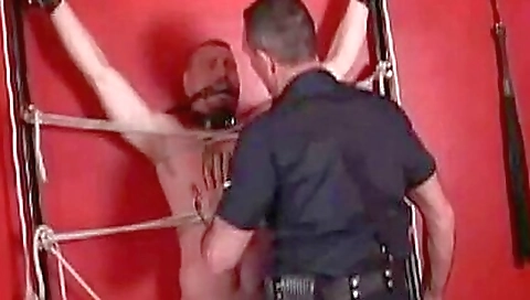 Shaky alic fuck with backwards